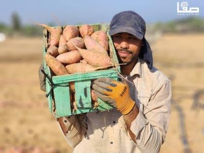 WhatsApp Image 2023-09-06 at 11.28.19 AM (3)