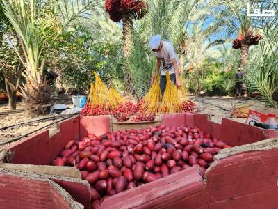 WhatsApp Image 2023-09-21 at 9.48.45 AM