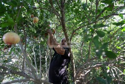 030923_GAZA_OSH_00 (29)