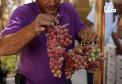 160923_HEBRON_MW_00 (8)