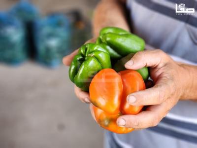 WhatsApp Image 2023-09-05 at 12.18.34 PM