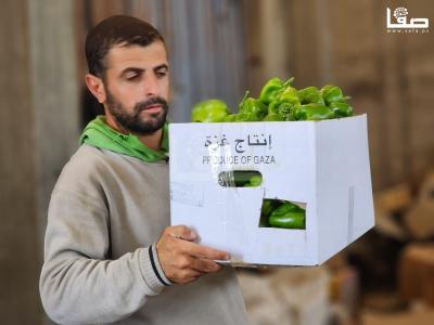 WhatsApp Image 2023-09-05 at 12.18.28 PM (2)