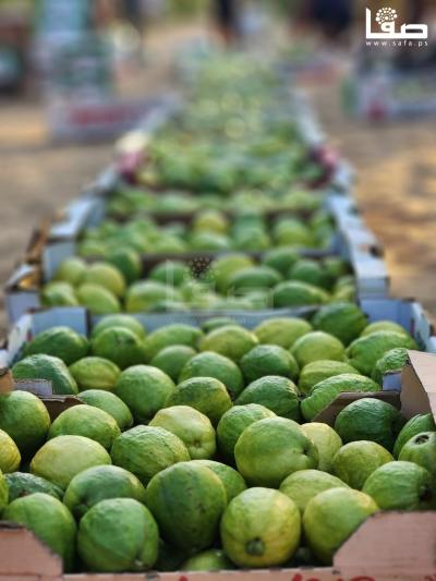 WhatsApp Image 2023-09-06 at 11.29.54 AM (1)