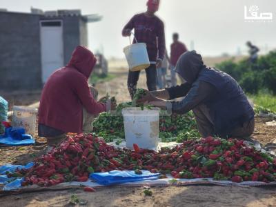 WhatsApp Image 2023-09-09 at 9.35.48 AM