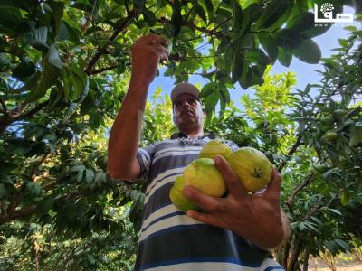 WhatsApp Image 2023-09-06 at 11.29.52 AM (2)