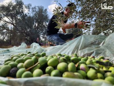 WhatsApp Image 2023-09-30 at 11.24.06 AM