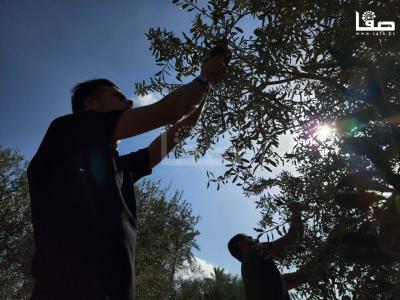 WhatsApp Image 2023-09-30 at 11.24.40 AM