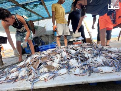 Photo 29-09-2023, 8 33 58 AM