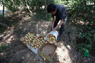 030923_GAZA_OSH_00 (31) (2)