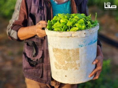 WhatsApp Image 2023-09-09 at 9.35.58 AM