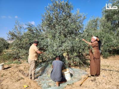 WhatsApp Image 2023-09-30 at 11.24.35 AM