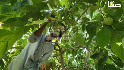 ٢٠٢٣٠٩٢٣_١٥٢٩٢٣