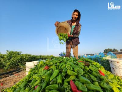 WhatsApp Image 2023-09-09 at 9.35.57 AM (2)