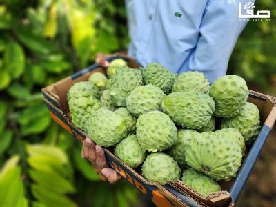 ٢٠٢٣٠٩٢٣_١٥٣٦٣٧