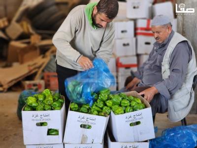 WhatsApp Image 2023-09-05 at 12.18.29 PM (1)