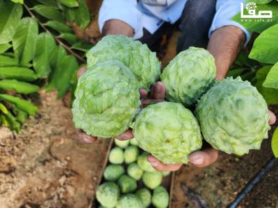 ٢٠٢٣٠٩٢٣_١٥٤٣٤٩