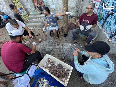 Photo 29-09-2023, 8 23 43 AM