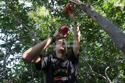 030923_GAZA_OSH_00 (26)