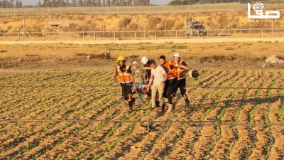 WhatsApp Image 2023-09-17 at 6.23.53 PM