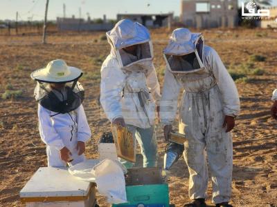 WhatsApp Image 2023-09-11 at 10.28.34 AM (1)