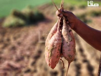 WhatsApp Image 2023-09-06 at 11.28.21 AM (1)