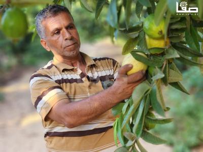 WhatsApp Image 2023-09-06 at 11.29.53 AM