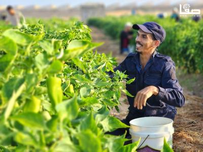 WhatsApp Image 2023-09-09 at 9.35.57 AM (1)