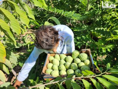 ٢٠٢٣٠٩٢٣_١٥٣٣٤٤