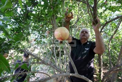 030923_GAZA_OSH_00 (30)