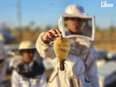 WhatsApp Image 2023-09-11 at 10.28.36 AM (1)