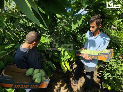 ٢٠٢٣٠٩٢٣_١٥٣٣٠٠