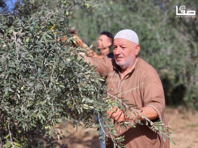 WhatsApp Image 2023-09-30 at 11.24.44 AM