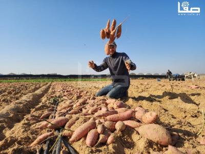 WhatsApp Image 2023-09-06 at 11.28.20 AM (3)