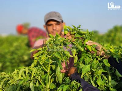 WhatsApp Image 2023-09-09 at 9.35.56 AM (1)