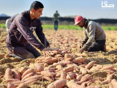 WhatsApp Image 2023-09-06 at 11.28.19 AM (1)