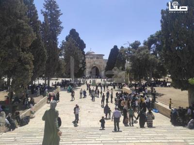 WhatsApp Image 2023-09-27 at 12.52.33 PM (1)