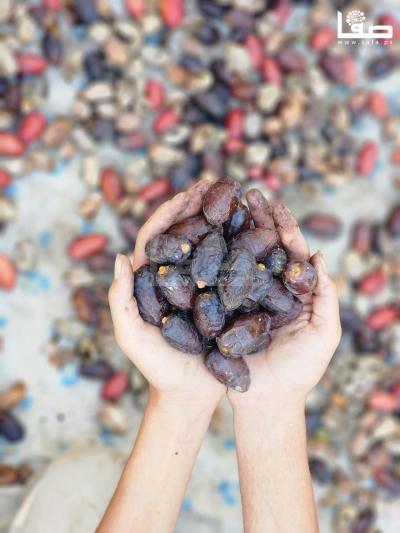 WhatsApp Image 2023-09-21 at 9.48.49 AM (1)