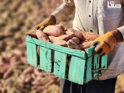 WhatsApp Image 2023-09-06 at 11.28.20 AM (1)