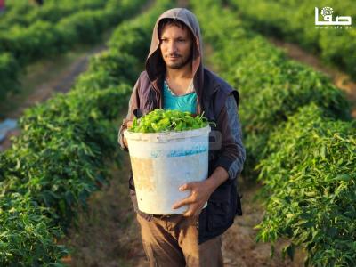 WhatsApp Image 2023-09-09 at 9.35.58 AM (1)