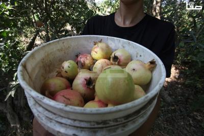 030923_GAZA_OSH_00 (24)