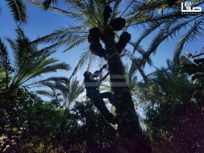 WhatsApp Image 2023-09-21 at 9.48.47 AM (2)