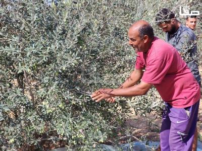 WhatsApp Image 2023-09-30 at 11.24.45 AM