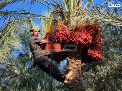 WhatsApp Image 2023-09-21 at 9.48.49 AM