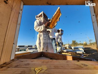 WhatsApp Image 2023-09-11 at 10.28.39 AM