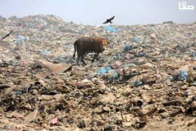 030923_GAZA_OSH_2_00 (14)