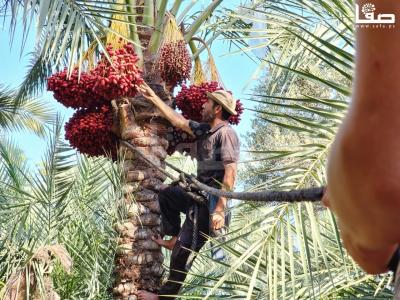 WhatsApp Image 2023-09-21 at 9.48.43 AM (1)