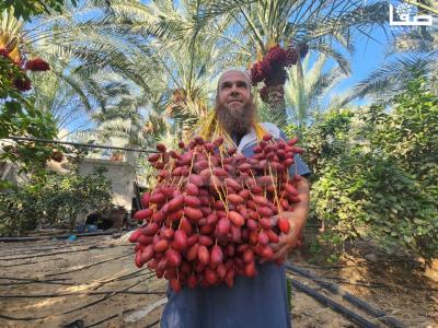 WhatsApp Image 2023-09-21 at 9.48.48 AM