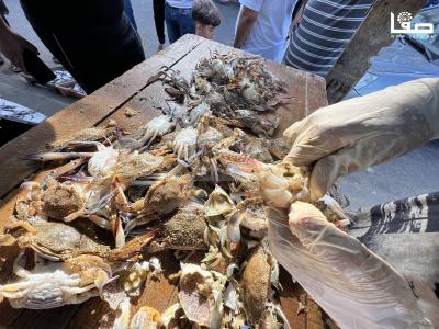 Photo 29-09-2023, 8 37 35 AM