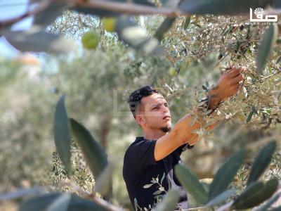 WhatsApp Image 2023-09-30 at 11.24.04 AM