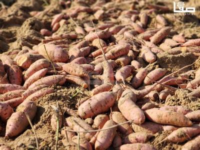 WhatsApp Image 2023-09-06 at 11.28.21 AM (2)